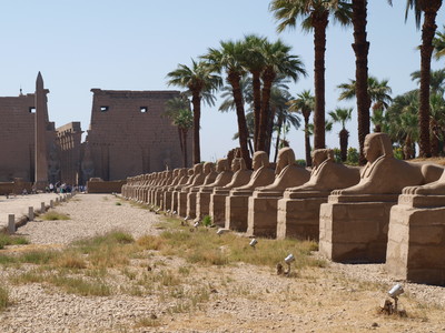Egypt Travelogue #7