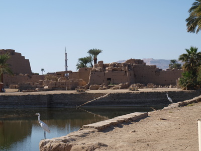 Egypt Travelogue #31