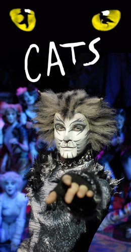 Cats Cats