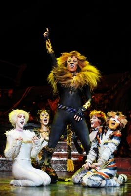 The Rum Tum Tugger, surrounded by his adoring female fans The Rum Tum Tugger, surrounded by his adoring female fans