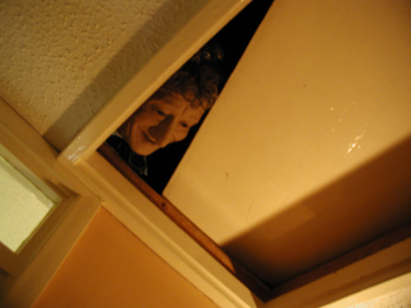 The Doctor's Head goes for a Roll - Loft Squatter