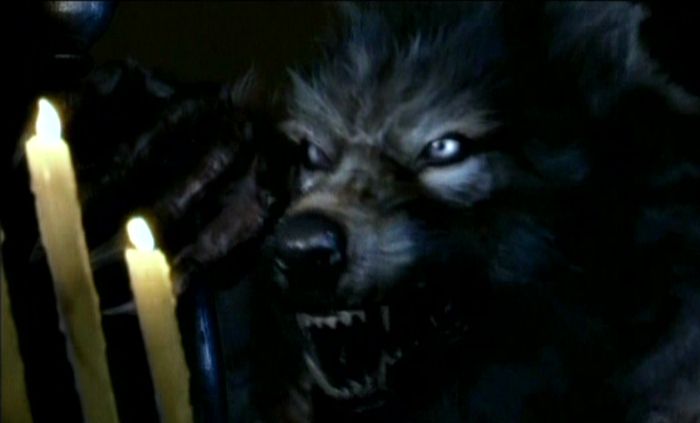 Tooth and Claw